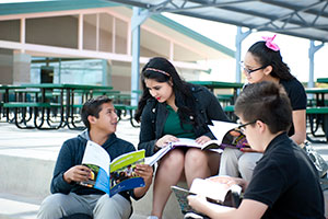 Students studing